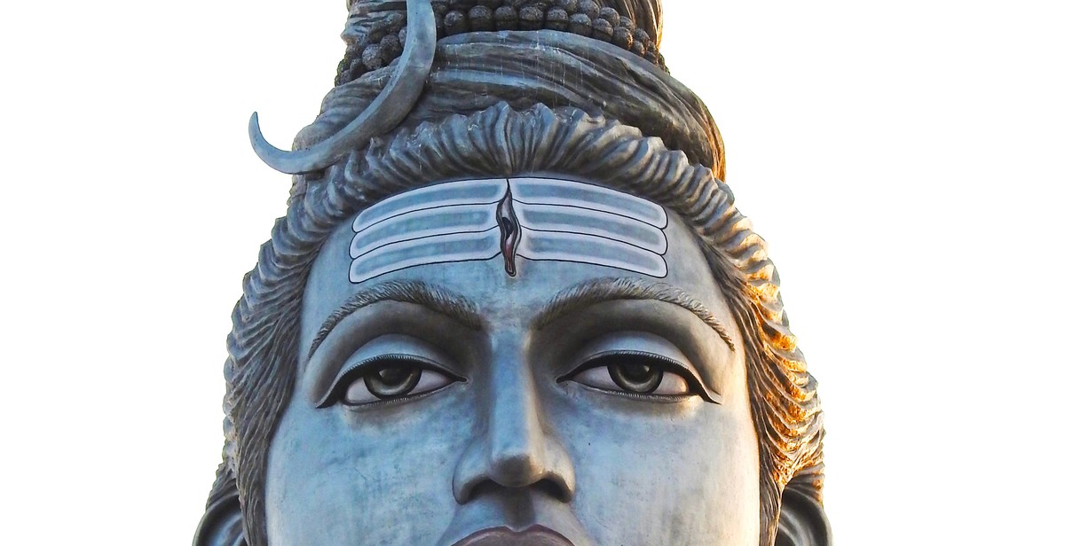 Vandana Shiva environmental activism